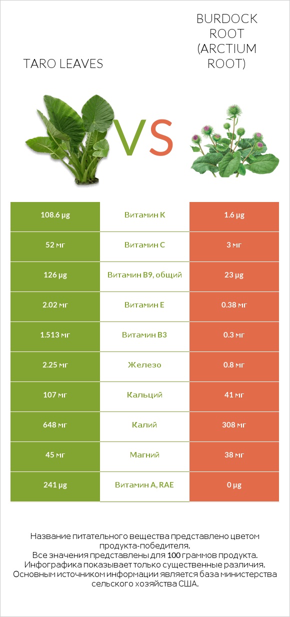 Taro leaves vs Burdock root infographic