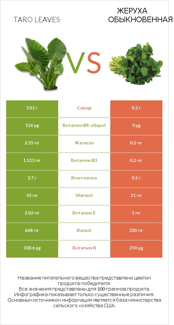 Листья Таро vs Жеруха обыкновенная infographic