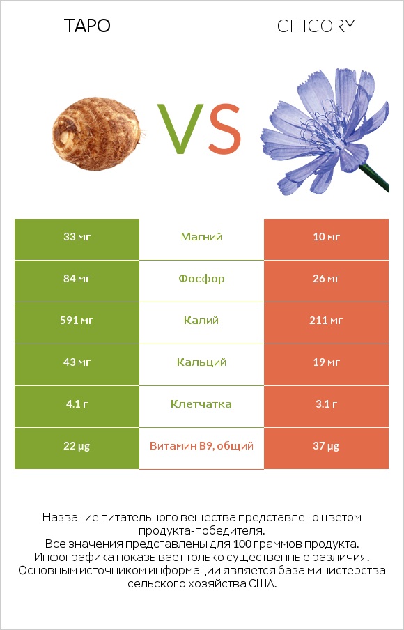 Таро vs Chicory infographic
