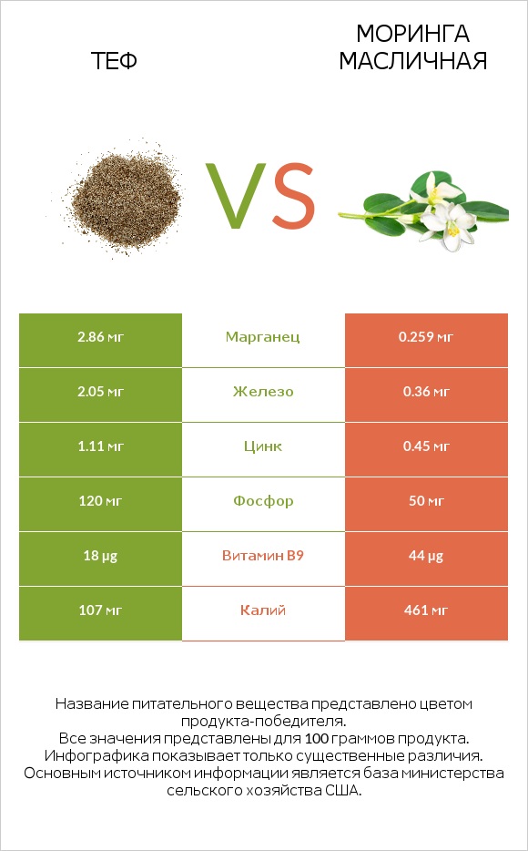 Теф vs Моринга масличная infographic