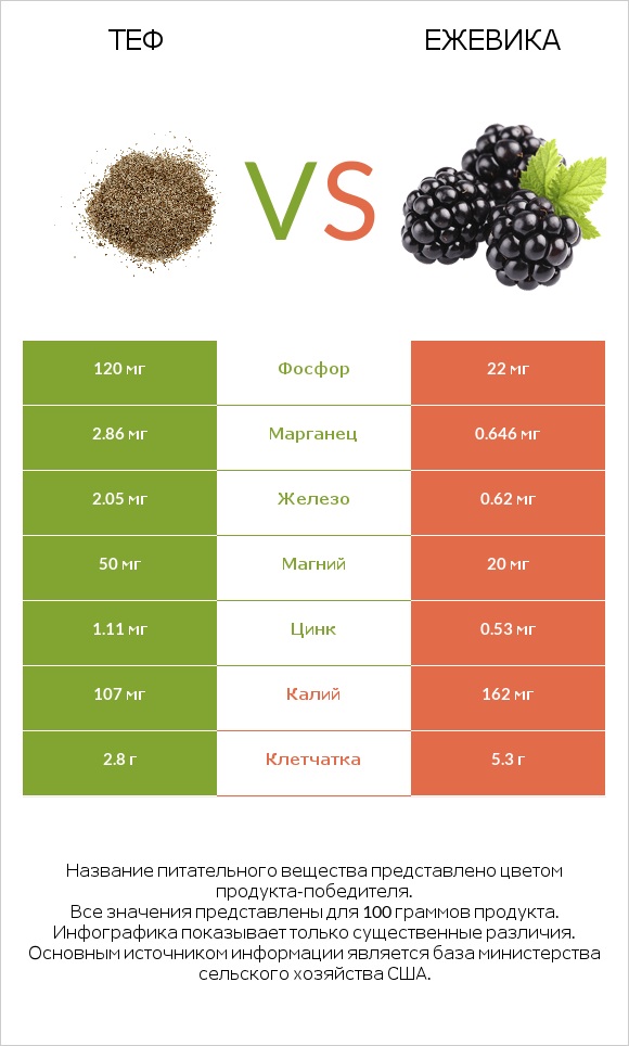 Теф vs Ежевика infographic