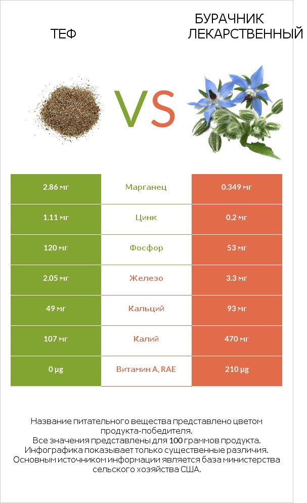 Теф vs Бурачник лекарственный infographic