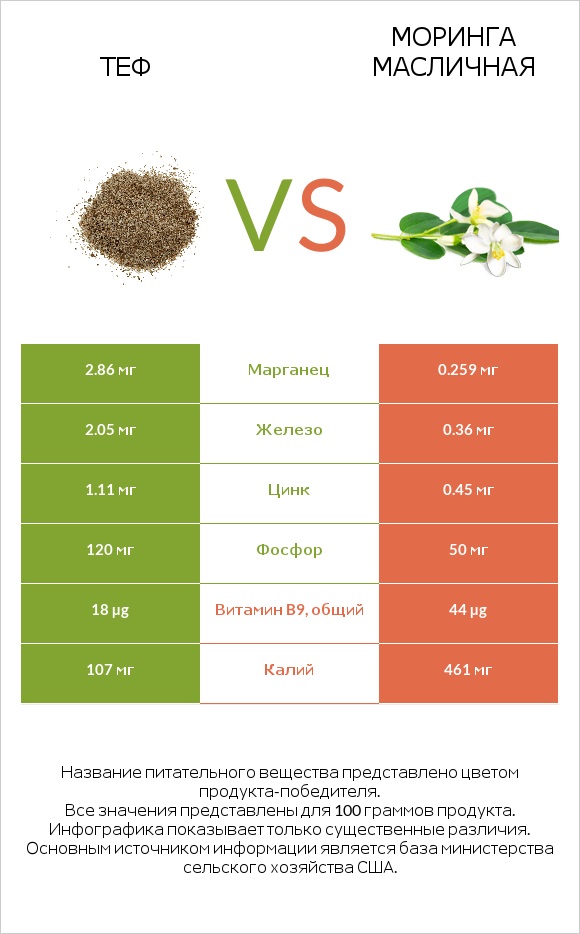 Теф vs Моринга масличная infographic