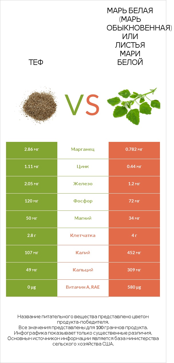 Теф vs Марь белая (Марь обыкновенная) или Листья мари белой infographic