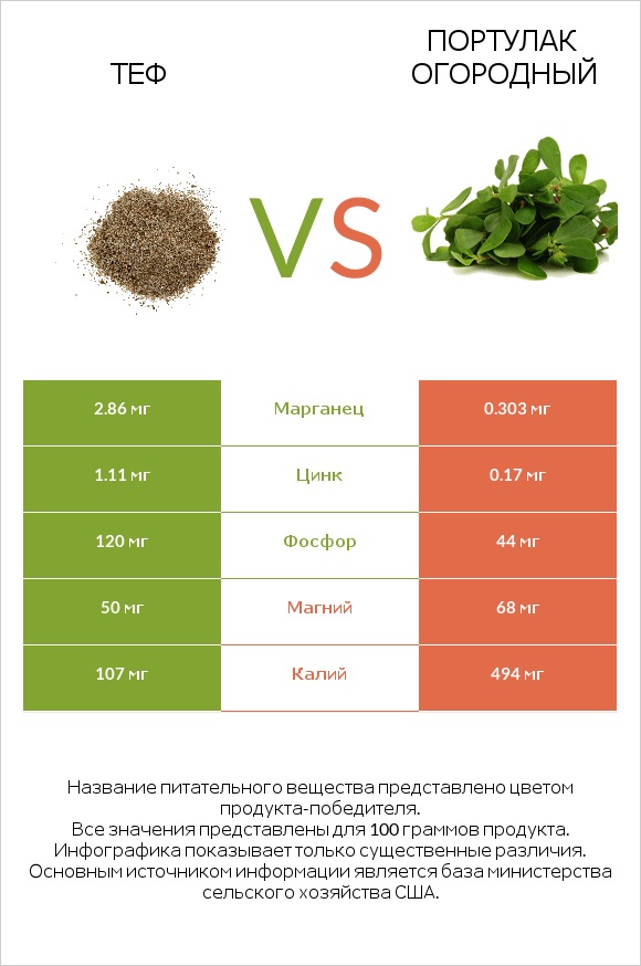 Теф vs Портулак огородный infographic