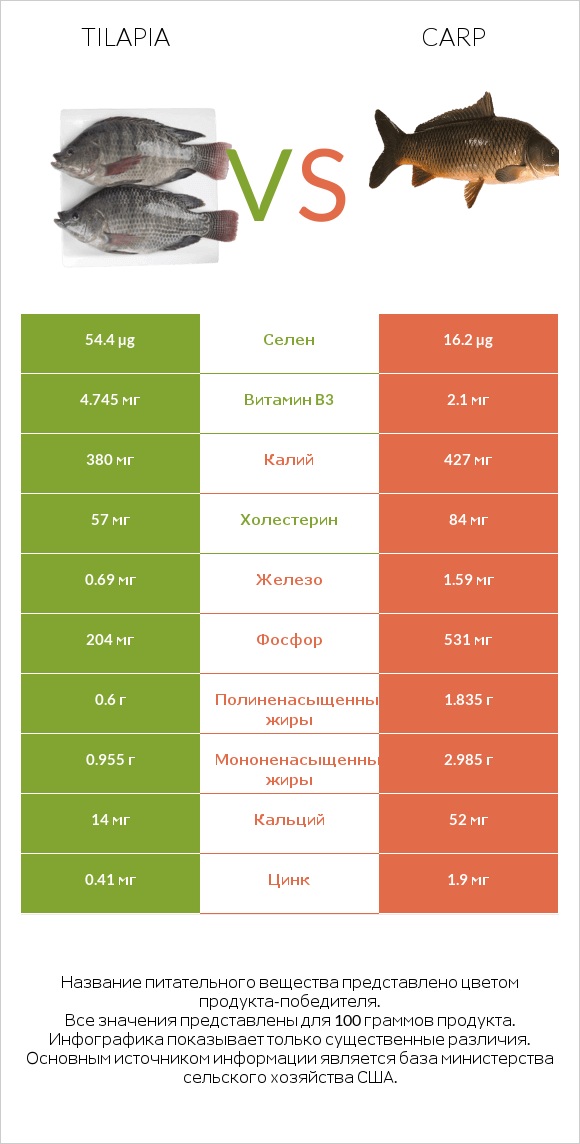 Tilapia vs Carp infographic