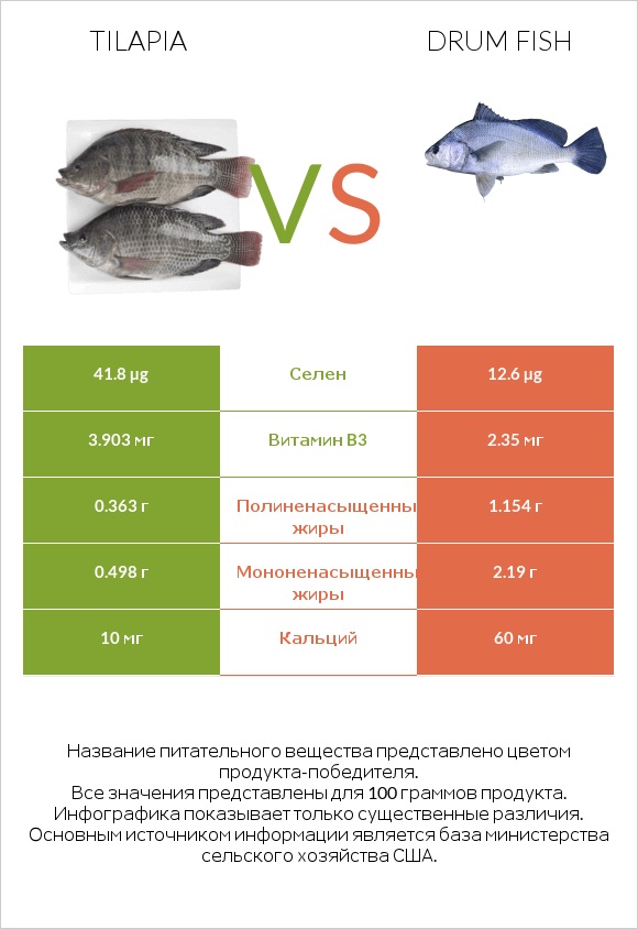 Tilapia vs Drum fish infographic
