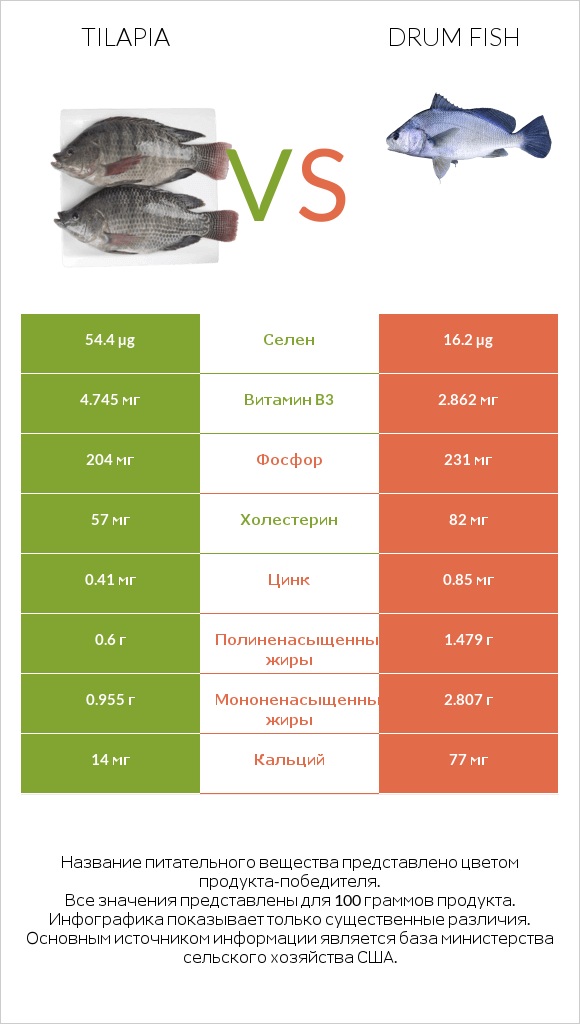 Tilapia vs Drum fish infographic