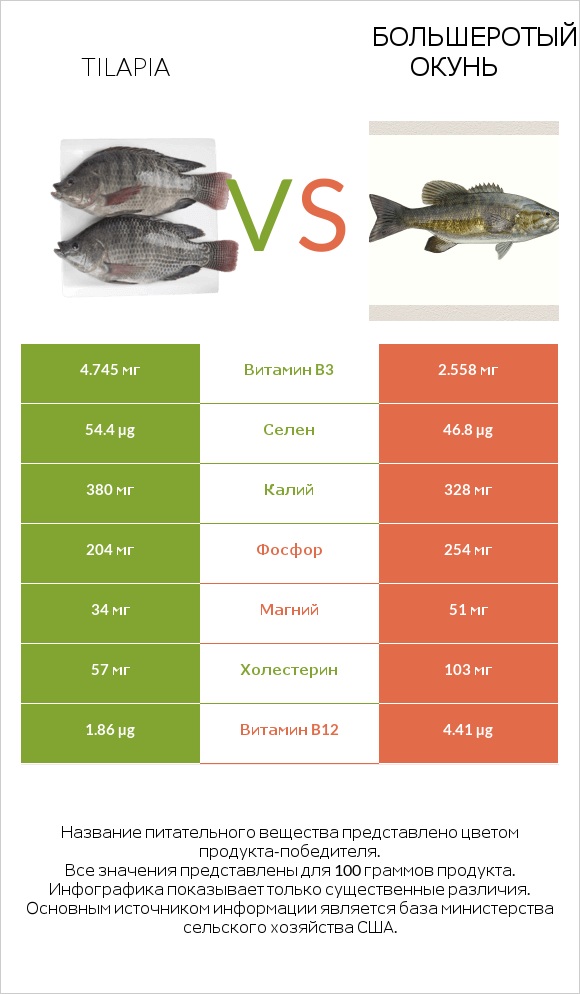 Tilapia vs Большеротый окунь infographic