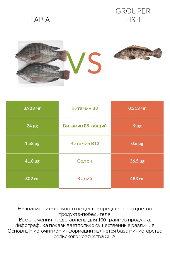 Tilapia vs Grouper fish infographic