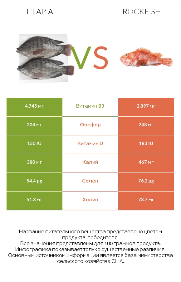 Tilapia vs Rockfish infographic