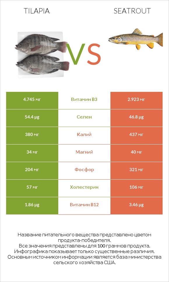 Tilapia vs Seatrout infographic