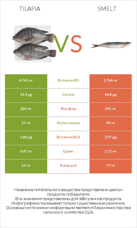 Tilapia vs Smelt infographic