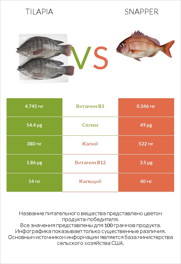 Tilapia vs Snapper infographic