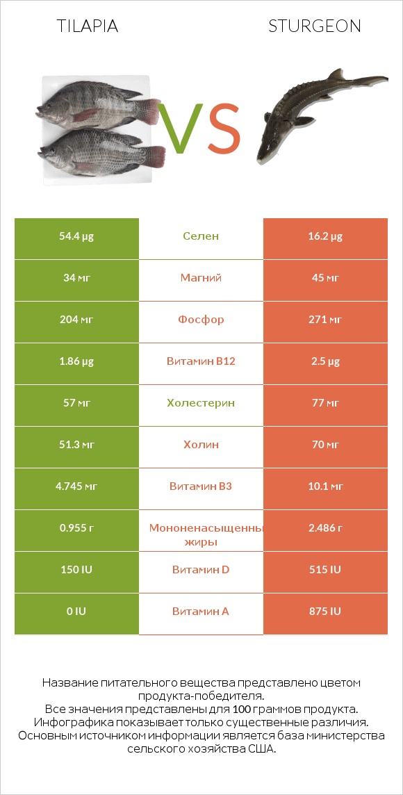 Tilapia vs Sturgeon infographic