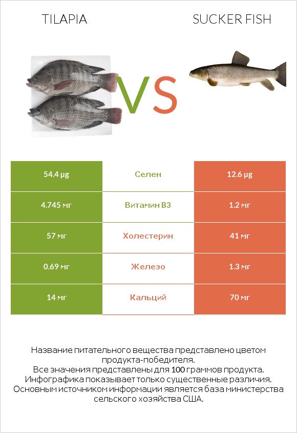 Tilapia vs Sucker fish infographic
