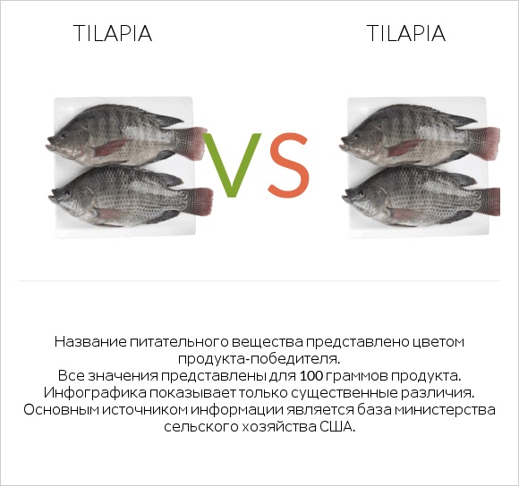 Tilapia vs Tilapia infographic