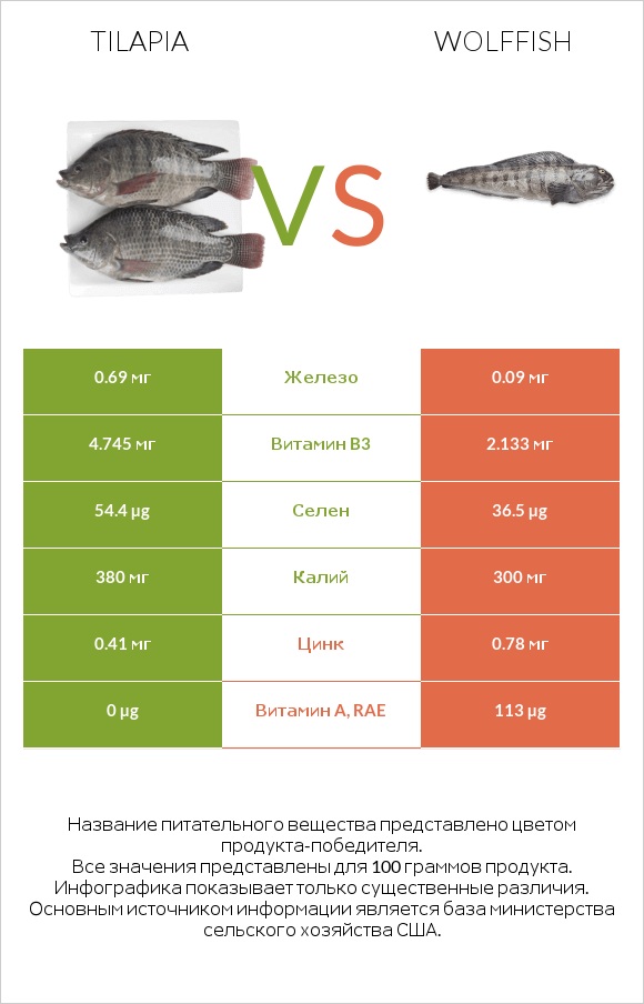 Tilapia vs Wolffish infographic