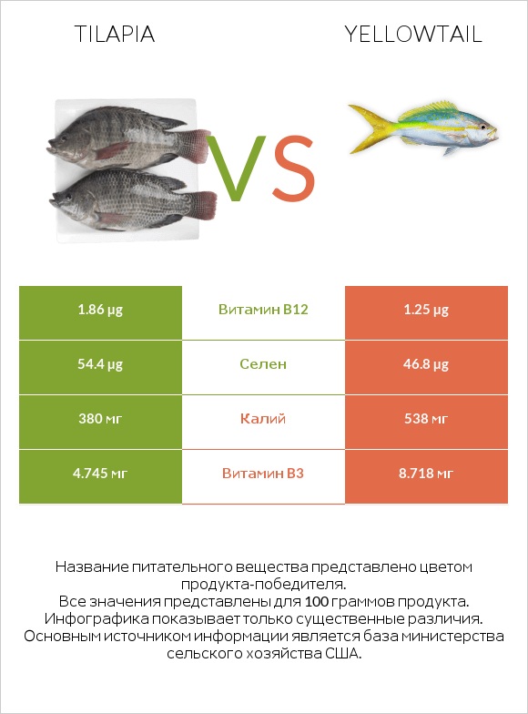 Tilapia vs Yellowtail infographic