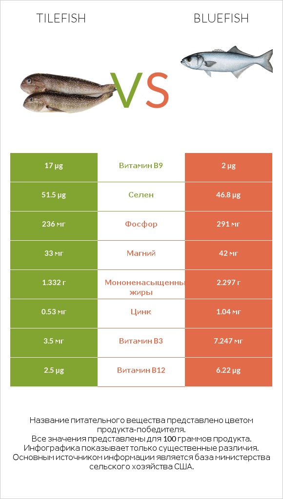 Tilefish vs Bluefish infographic