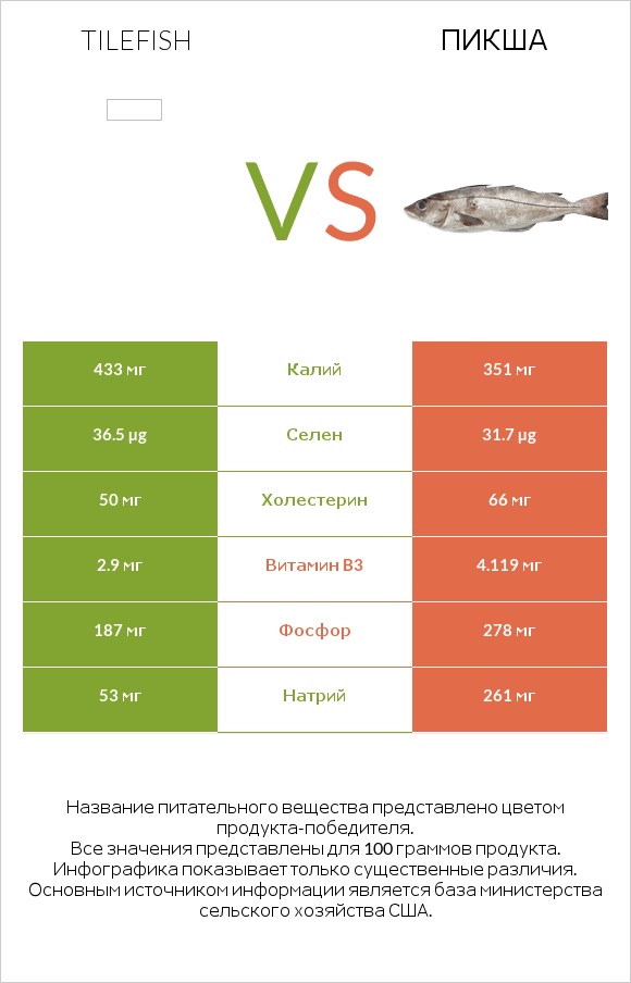 Tilefish vs Пикша infographic