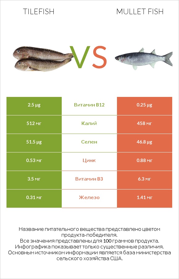 Tilefish vs Mullet fish infographic