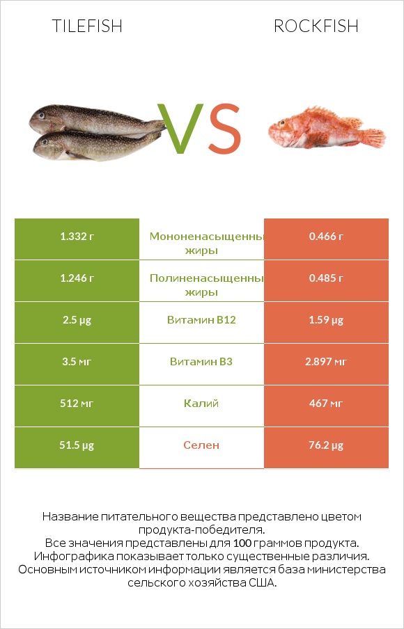 Tilefish vs Rockfish infographic