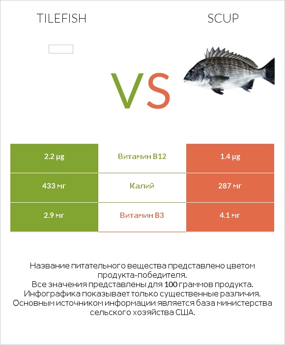 Tilefish vs Scup infographic