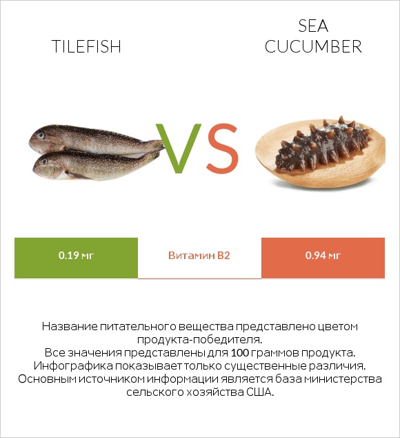 Tilefish vs Sea cucumber infographic