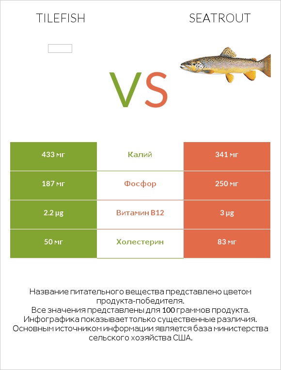 Tilefish vs Seatrout infographic