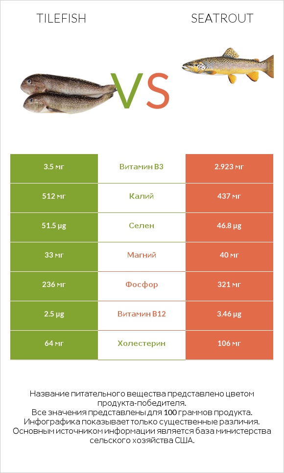 Tilefish vs Seatrout infographic