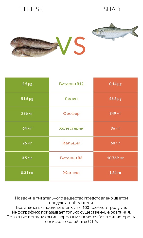 Tilefish vs Shad infographic