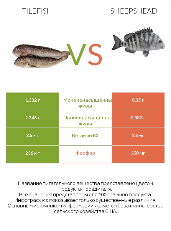 Tilefish vs Sheepshead infographic