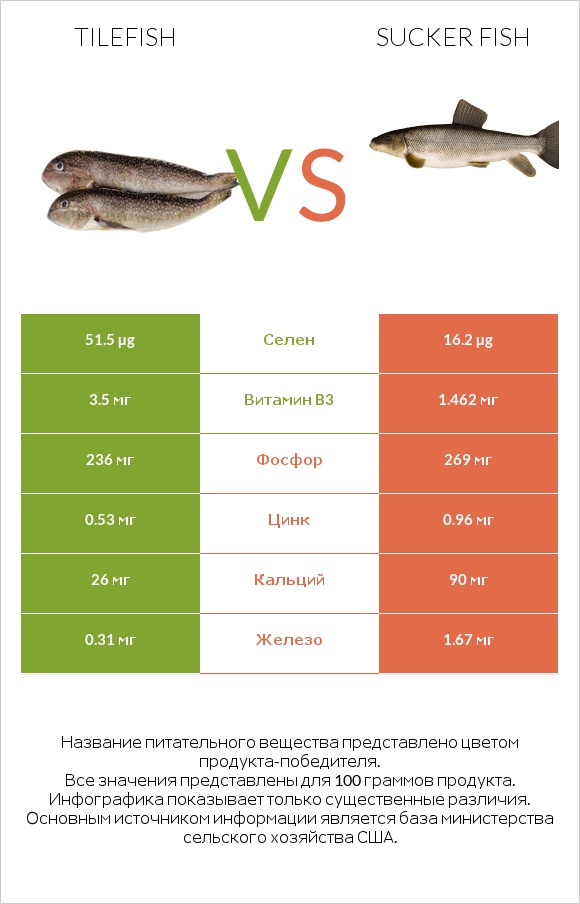 Tilefish vs Sucker fish infographic