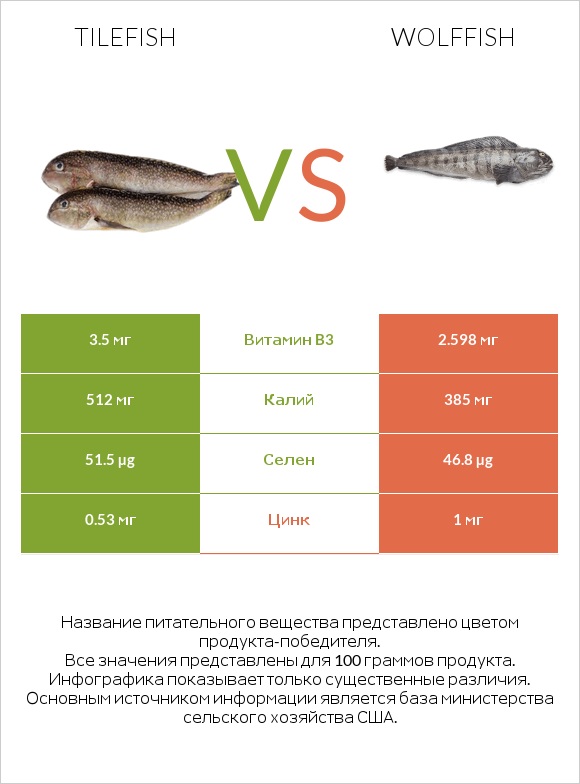 Tilefish vs Wolffish infographic