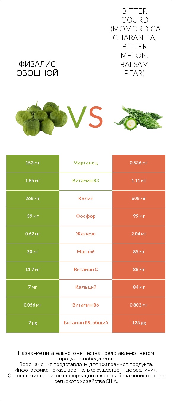 Физалис овощной vs Bitter gourd (Momordica charantia, bitter melon, balsam pear) infographic