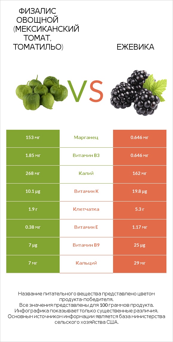 Физалис овощной (мексиканский томат, томатильо) vs Ежевика infographic