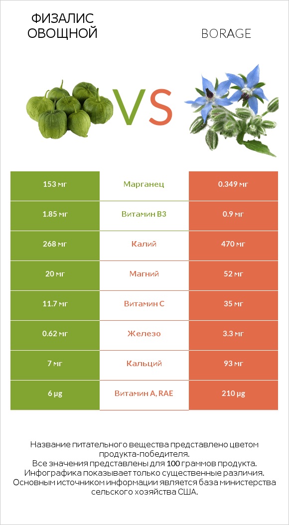Физалис овощной vs Borage infographic