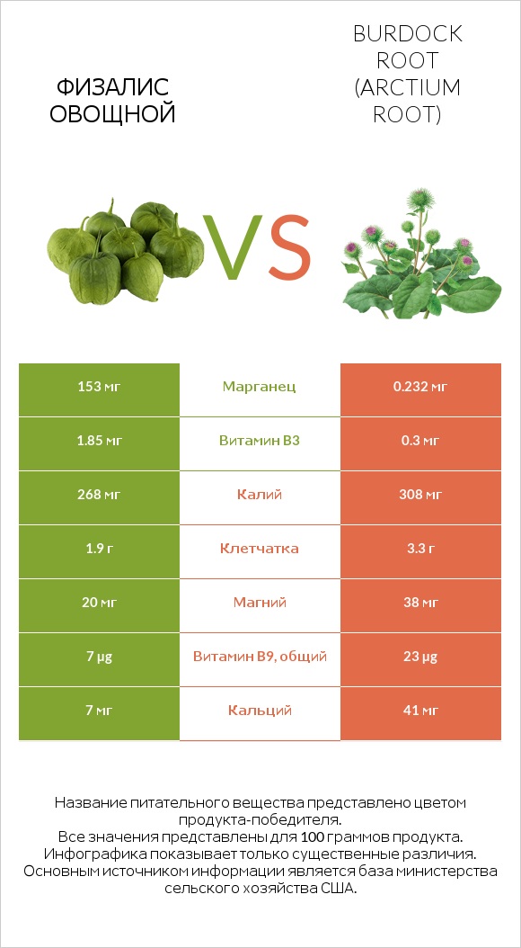 Физалис овощной vs Burdock root infographic