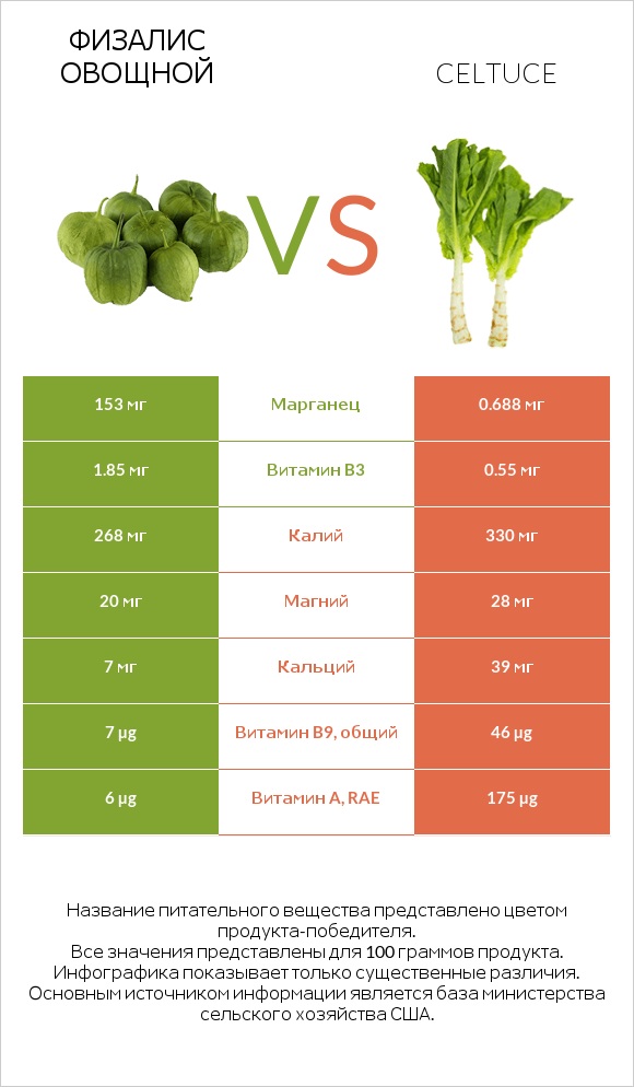 Физалис овощной vs Celtuce infographic
