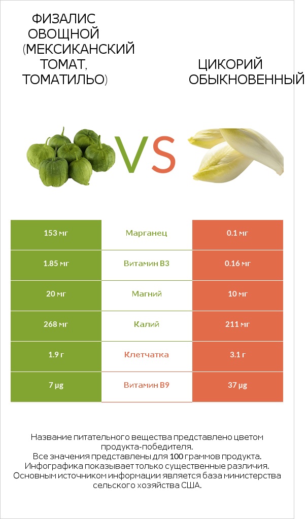 Физалис овощной (мексиканский томат, томатильо) vs Цикорий обыкновенный infographic