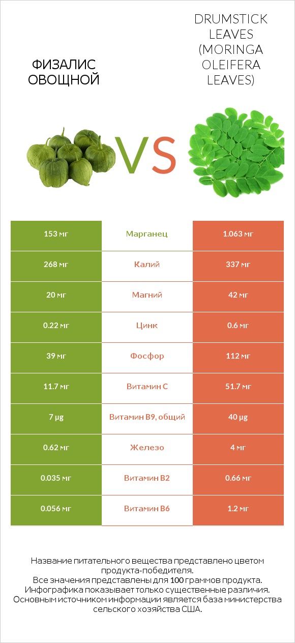 Физалис овощной vs Drumstick leaves infographic