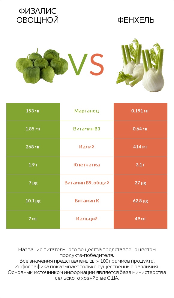 Физалис овощной vs Фенхель infographic
