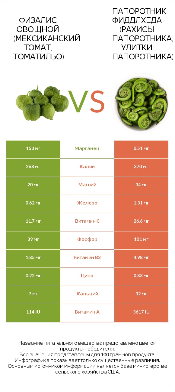 Физалис овощной vs Fiddlehead ferns infographic