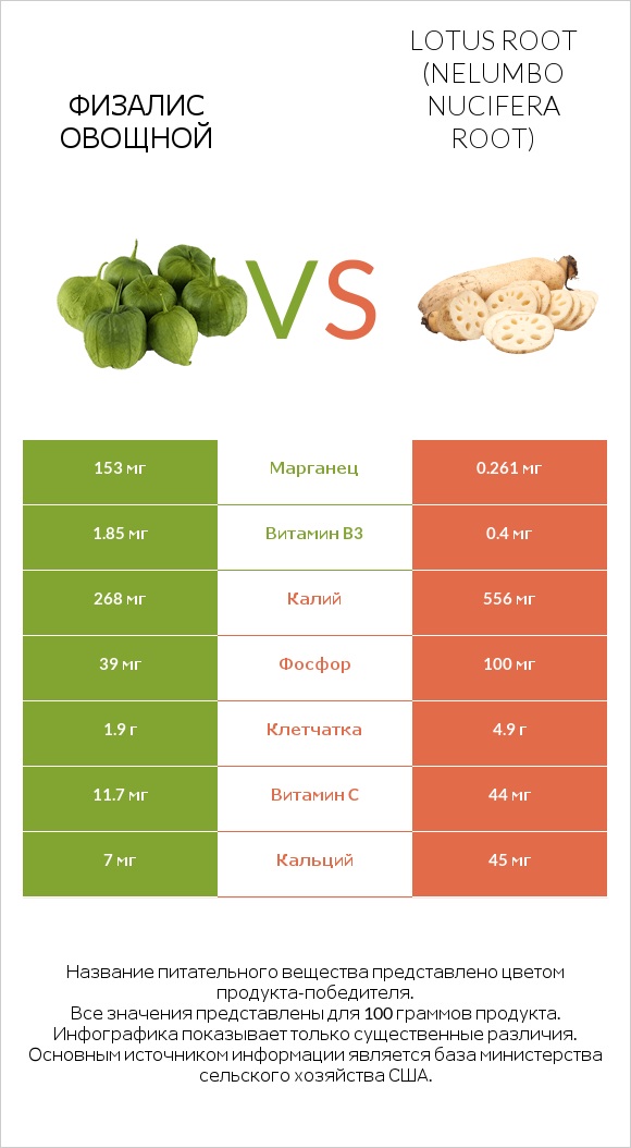 Физалис овощной vs Lotus root infographic