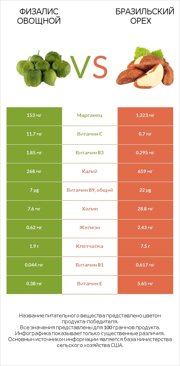 Физалис овощной vs Бразильский орех infographic