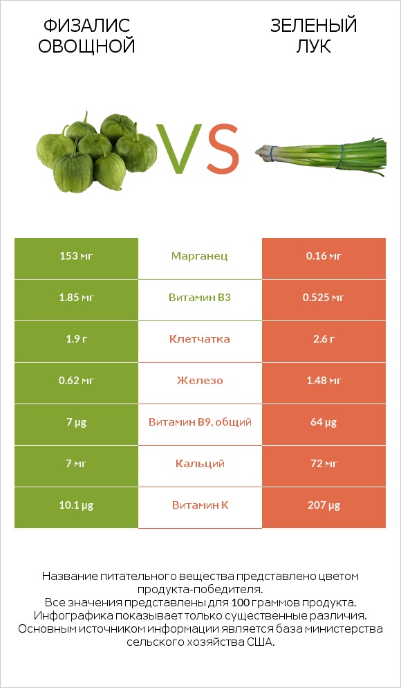 Физалис овощной vs Зеленый лук infographic