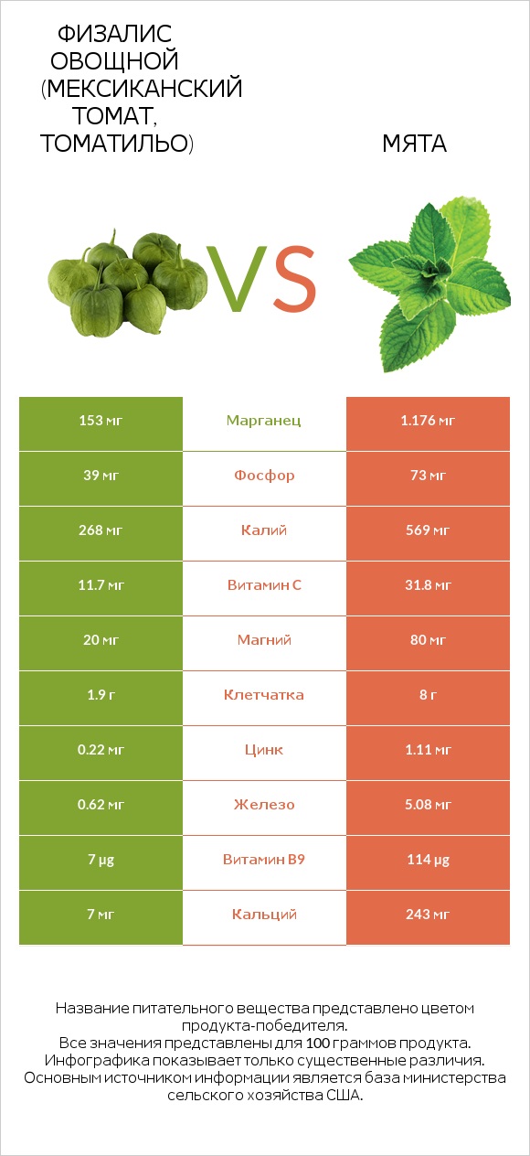 Физалис овощной (мексиканский томат, томатильо) vs Мята infographic