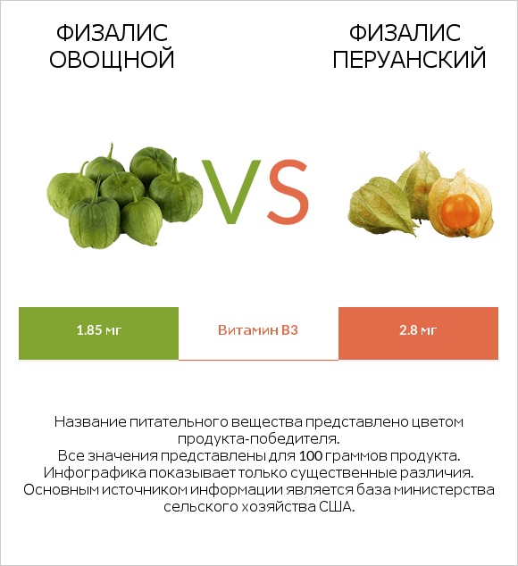 Физалис овощной (мексиканский томат, томатильо) vs Физалис перуанский infographic