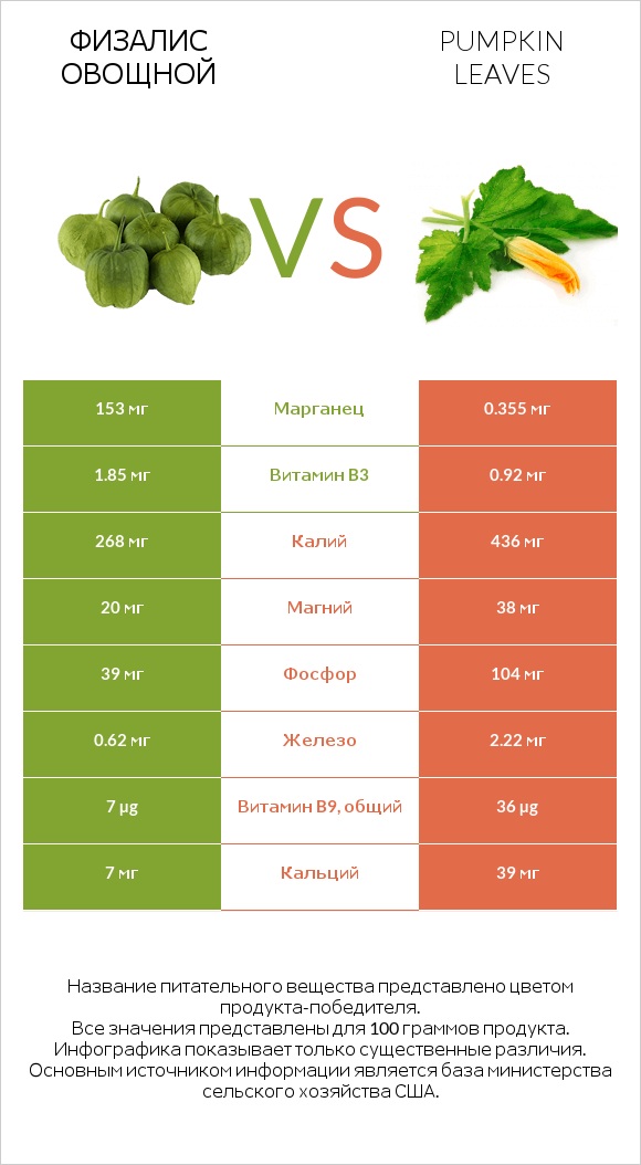 Физалис овощной vs Pumpkin leaves infographic